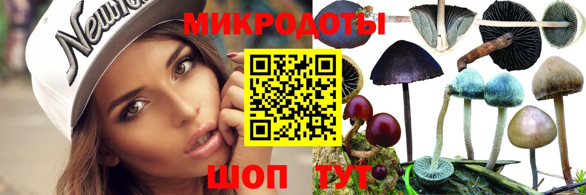 Галлюциногенные грибы мицелий  Вход с VPN  Волгодонск 