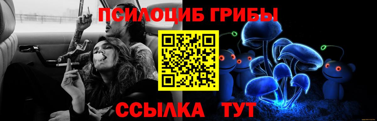Галлюциногенные грибы ЛСД Волгодонск
